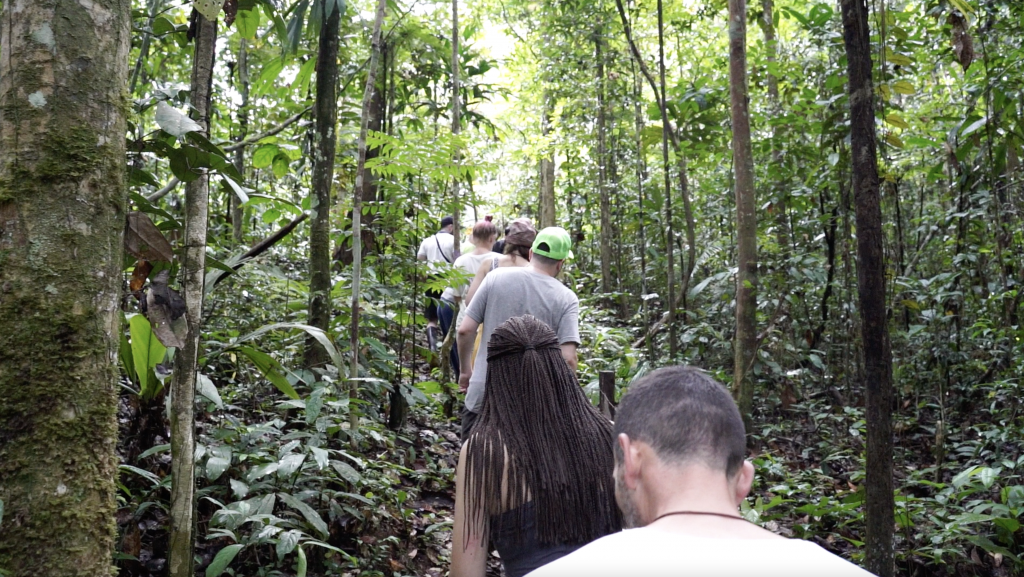 BMA Members walking through jungle