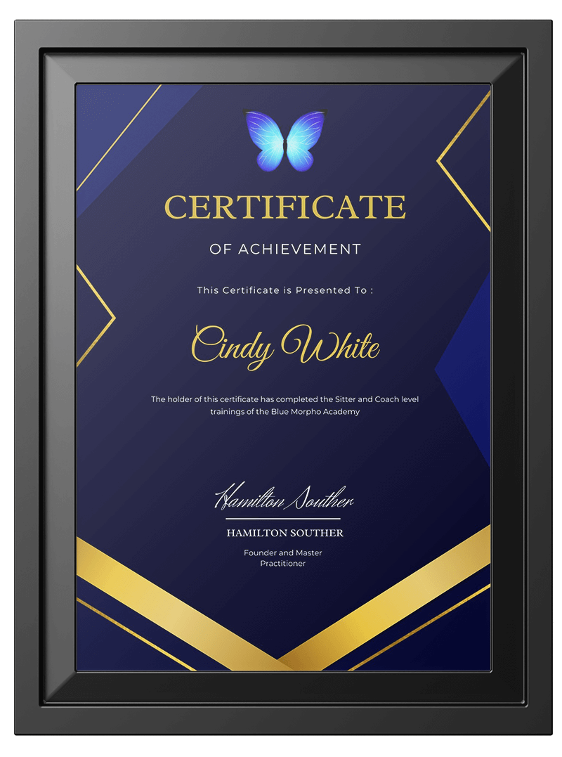 Online Coaching-Blue Morpho Academy Certificate of Achievement